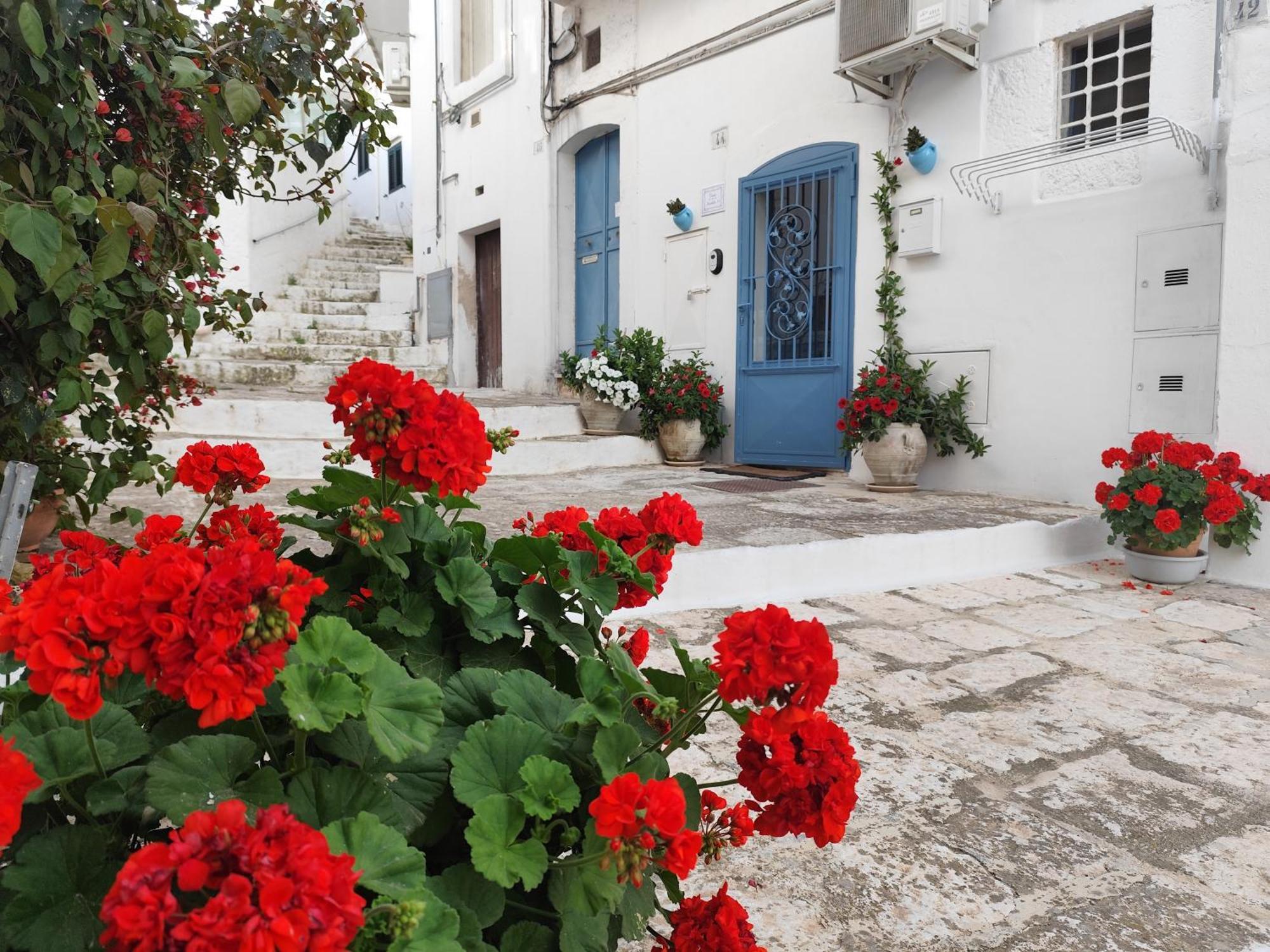 Casa Mirabilis 44 Villa Ostuni Dış mekan fotoğraf
