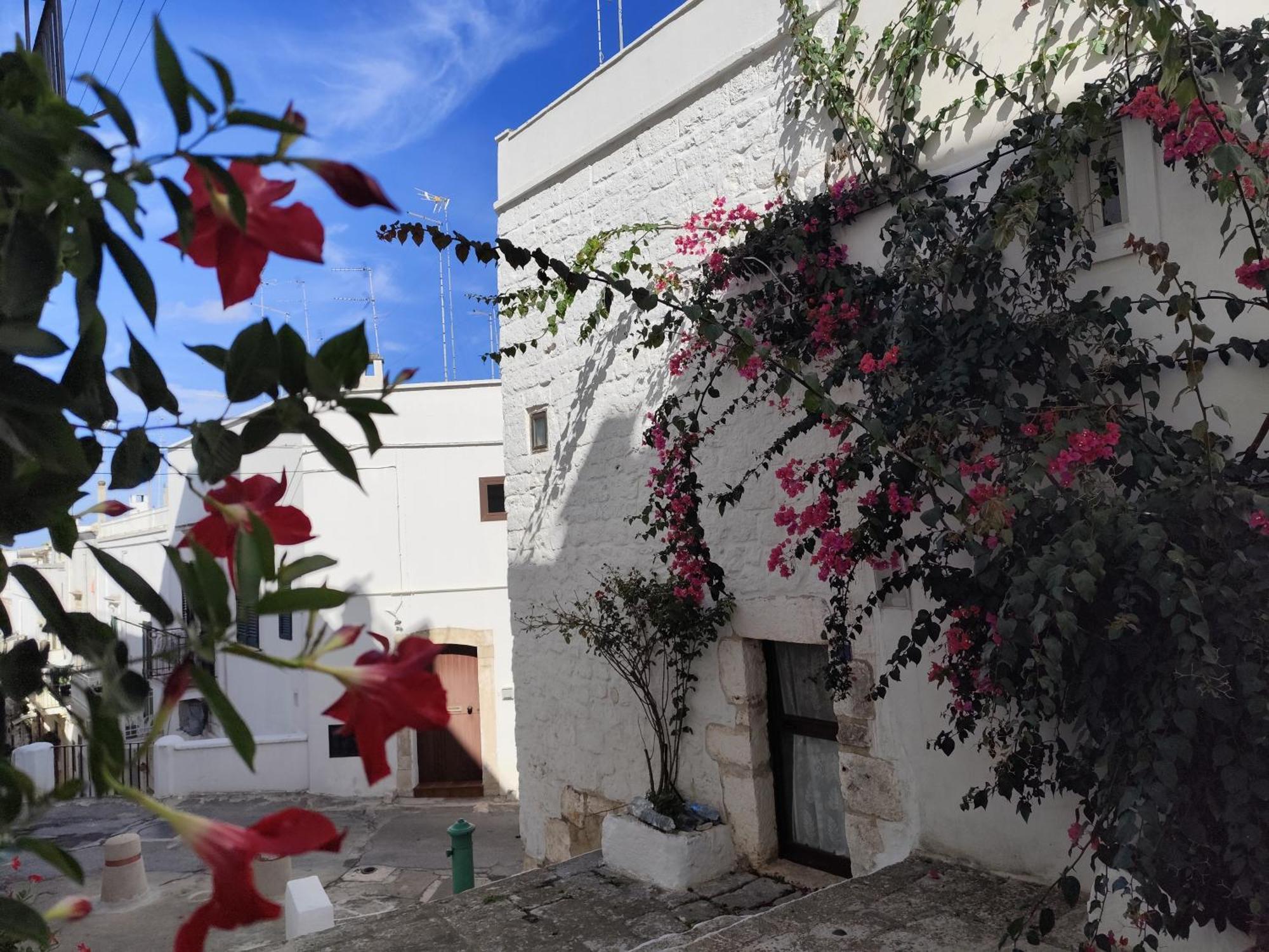 Casa Mirabilis 44 Villa Ostuni Dış mekan fotoğraf